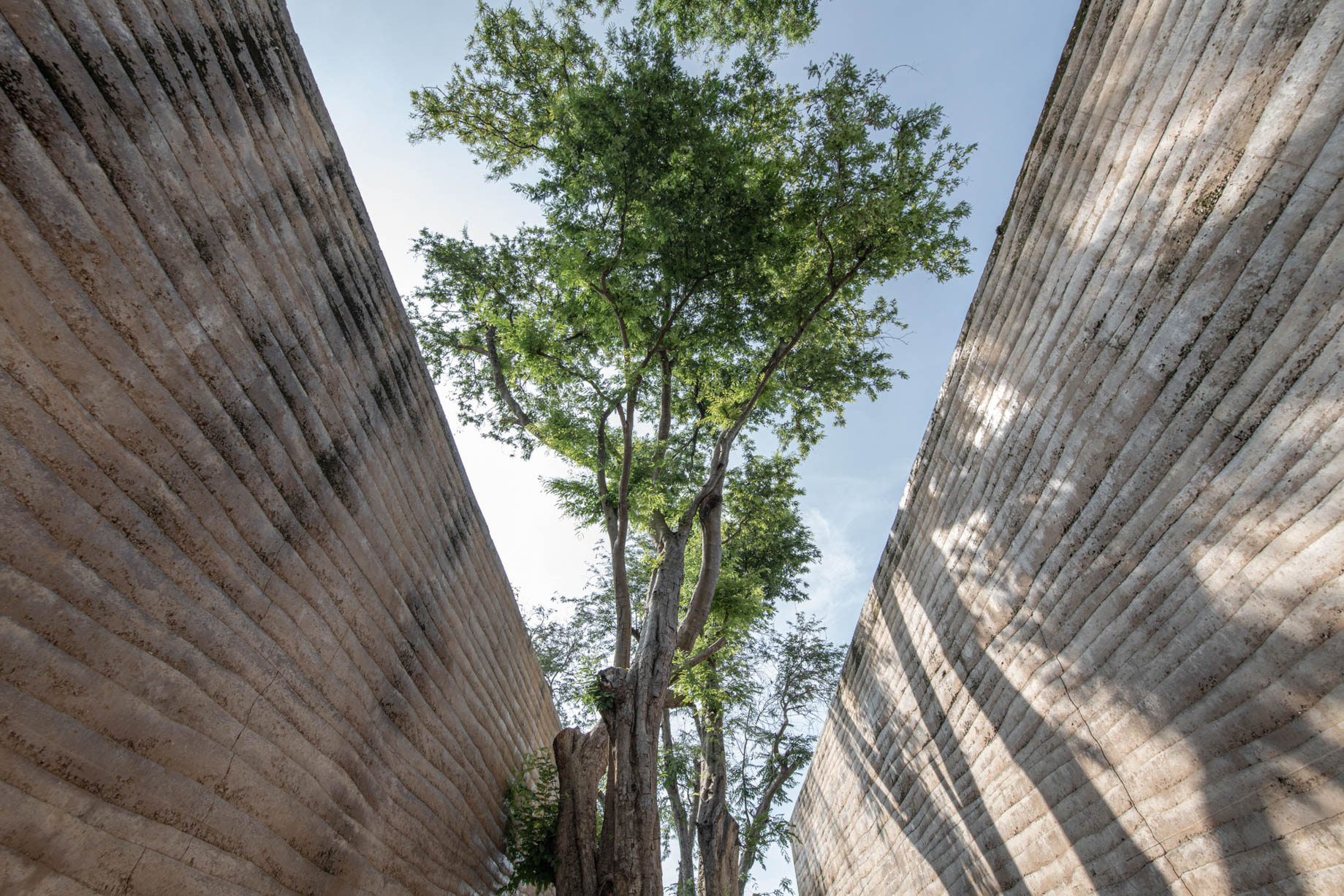 Tara Villa Riverkwai Resort - Kanchanaburi, Thailand - Exterior Pathway Tree
