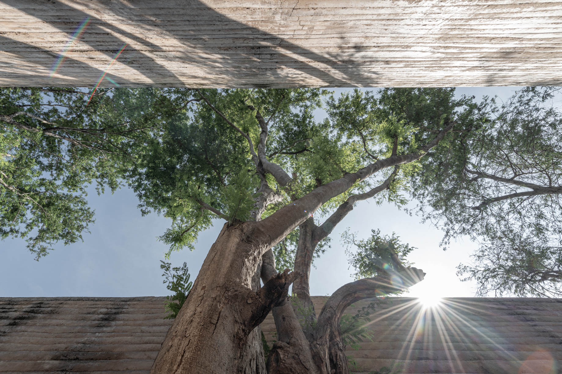 Tara Villa Riverkwai Resort – Kanchanaburi, Thailand – Exterior Pathway Tree