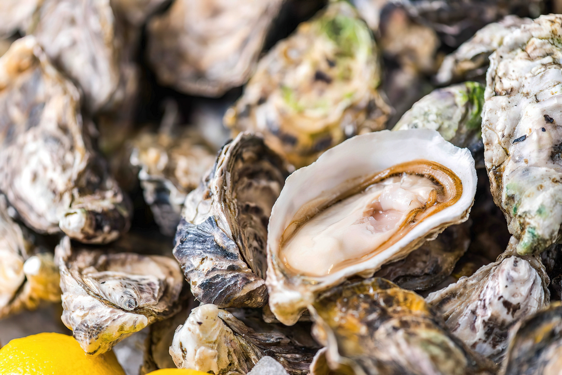 The Ritz-Carlton, Guangzhou Hotel – Guangzhou, China – FOODS Restaurant Gourmet Seafood