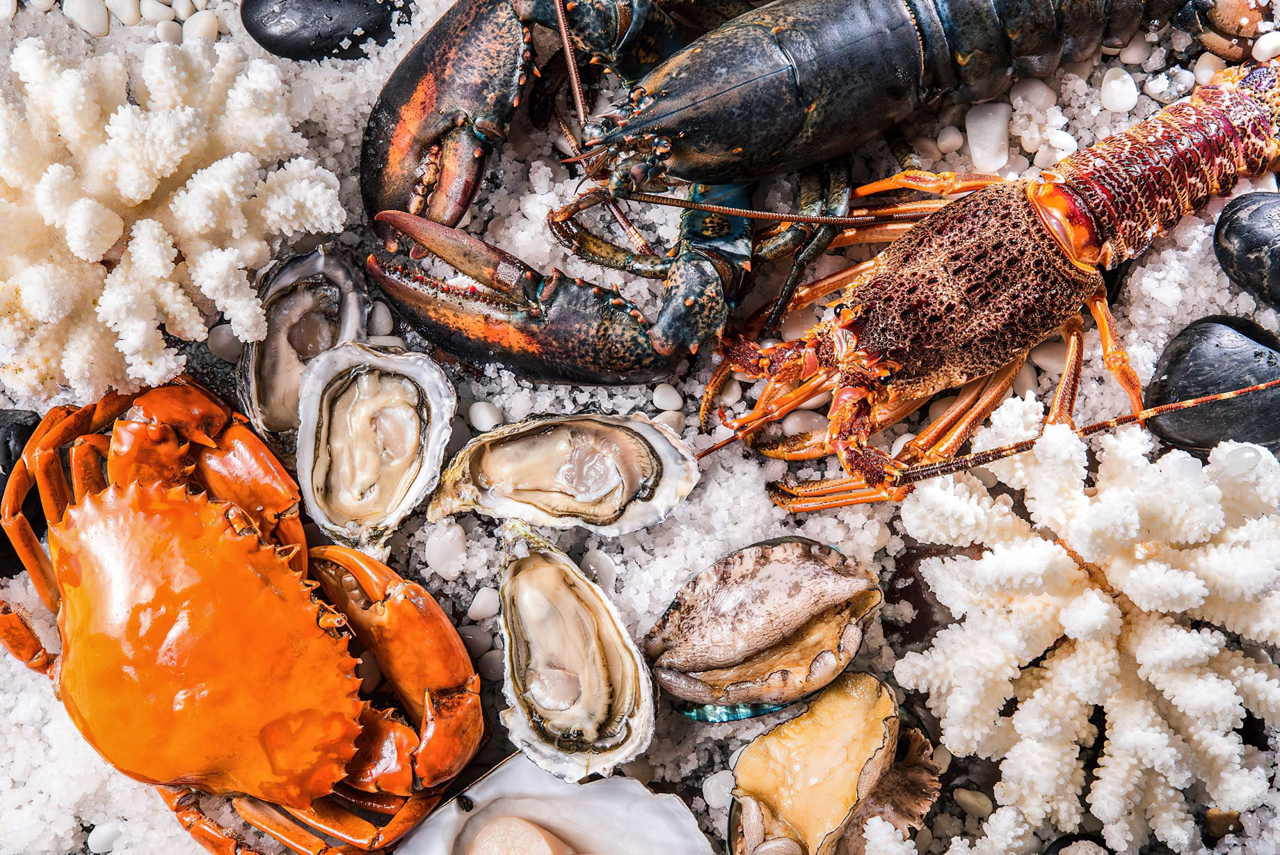 The Ritz-Carlton, Guangzhou Hotel – Guangzhou, China – FOODS Restaurant Seafood