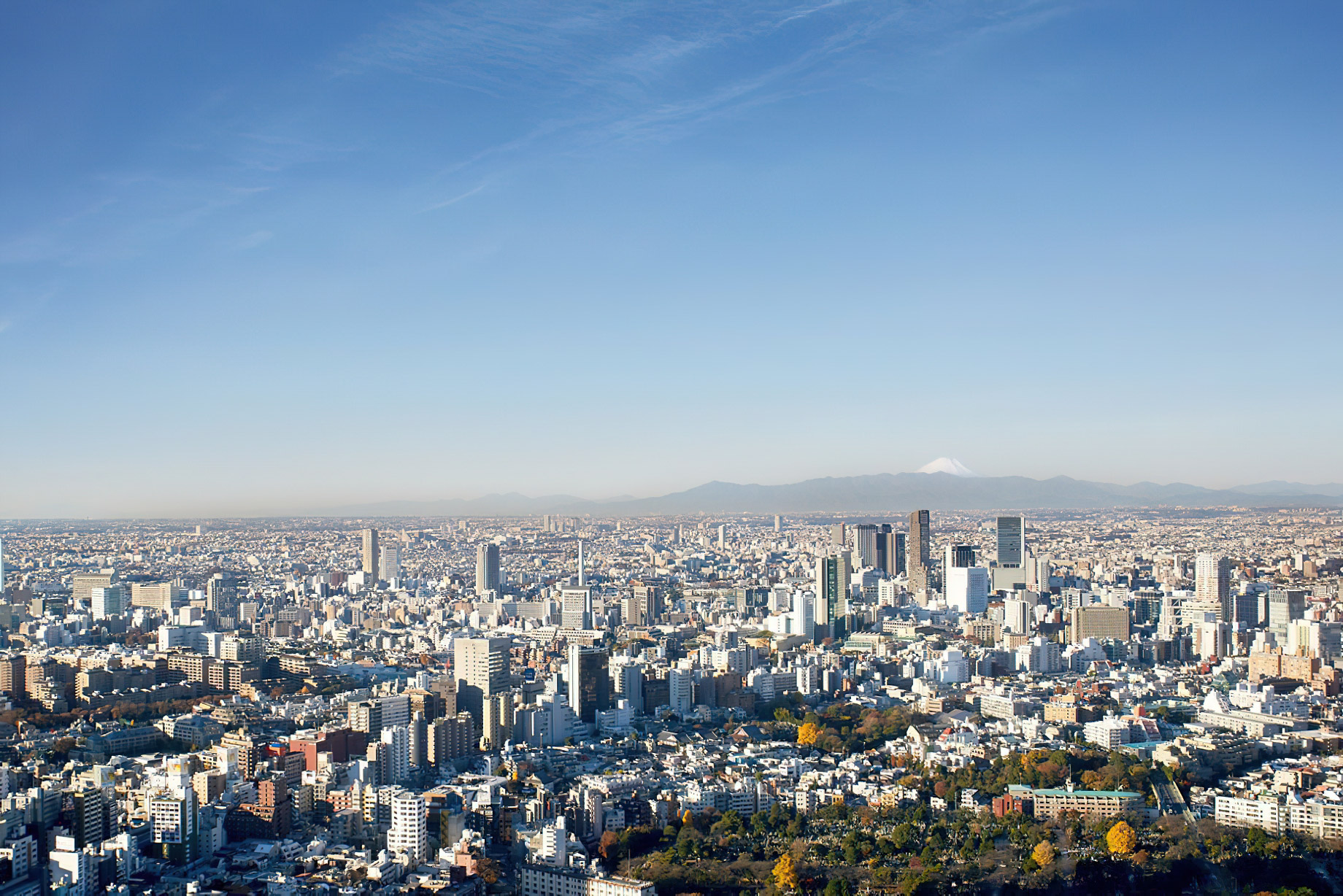 The Ritz-Carlton, Tokyo Hotel - Tokyo, Japan - Tokyo Skyline View