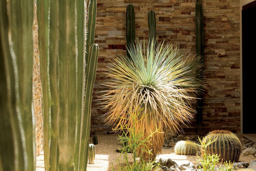 The Ritz-Carlton, Rancho Mirage Resort - Rancho Mirage, CA, USA - Lobby Cactus