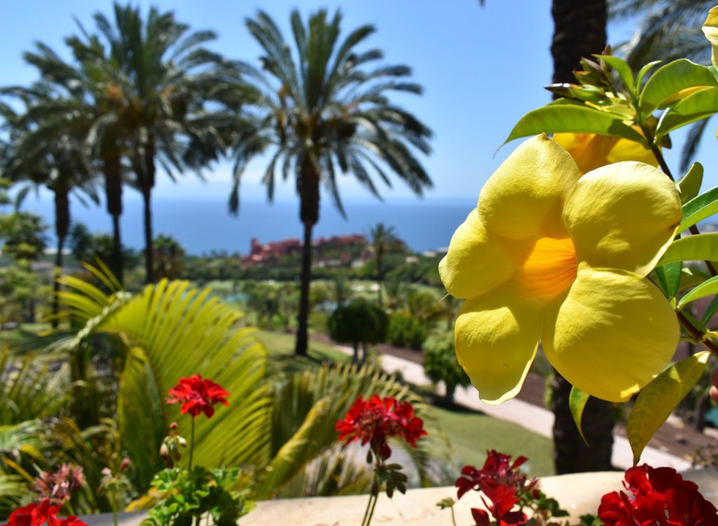 The Ritz-Carlton, Abama Resort - Santa Cruz de Tenerife, Spain - Property Ocean View