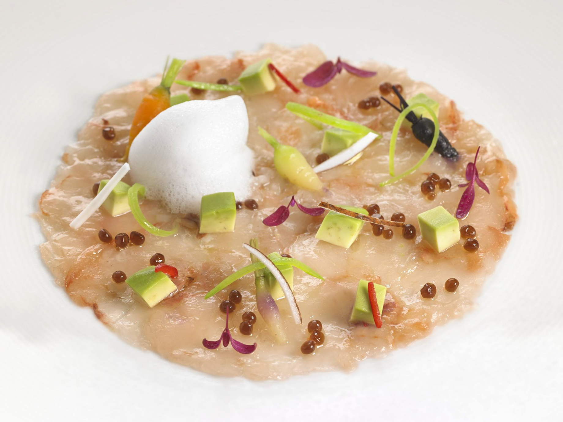 Hotel Arts Barcelona Ritz-Carlton – Barcelona, Spain – Gourmet Cuisine