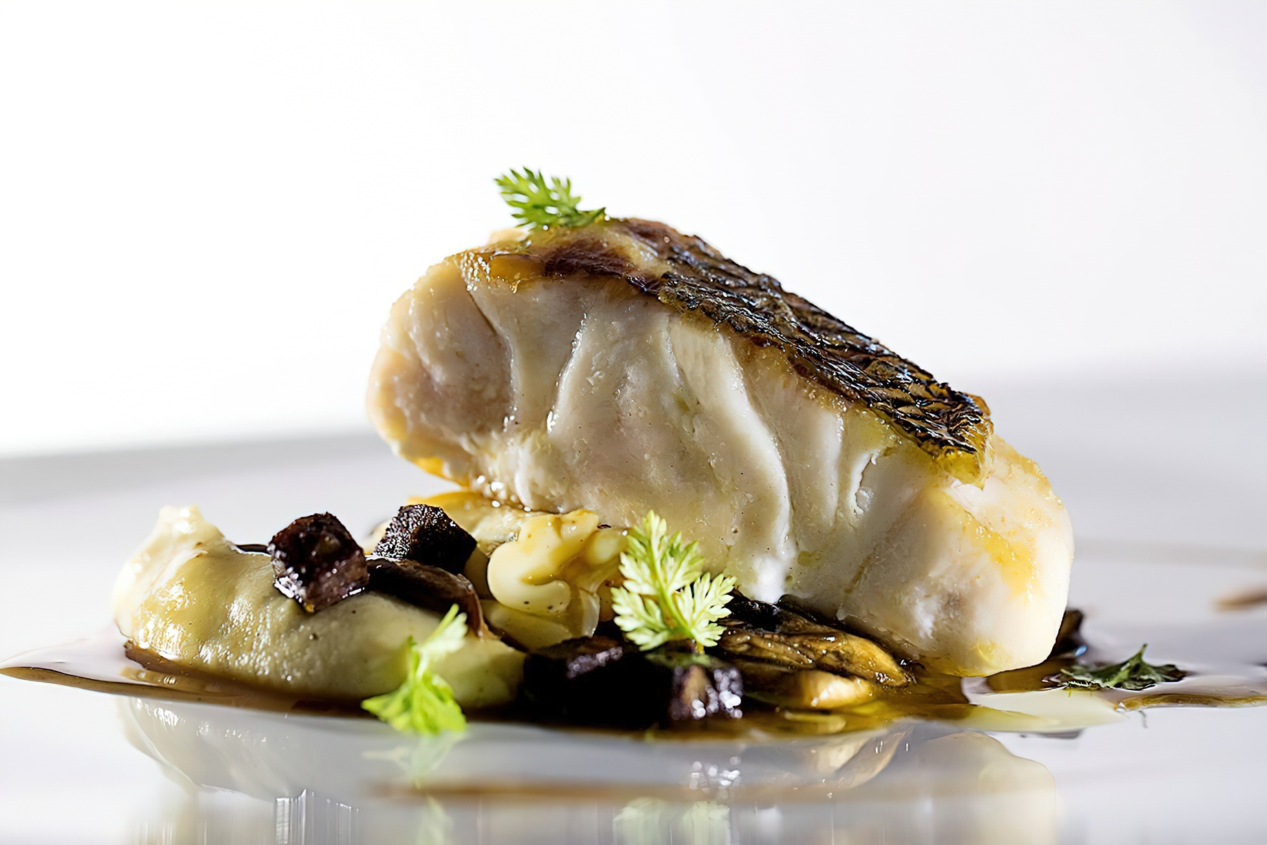 Hotel Arts Barcelona Ritz-Carlton – Barcelona, Spain – Gourmet Cuisine