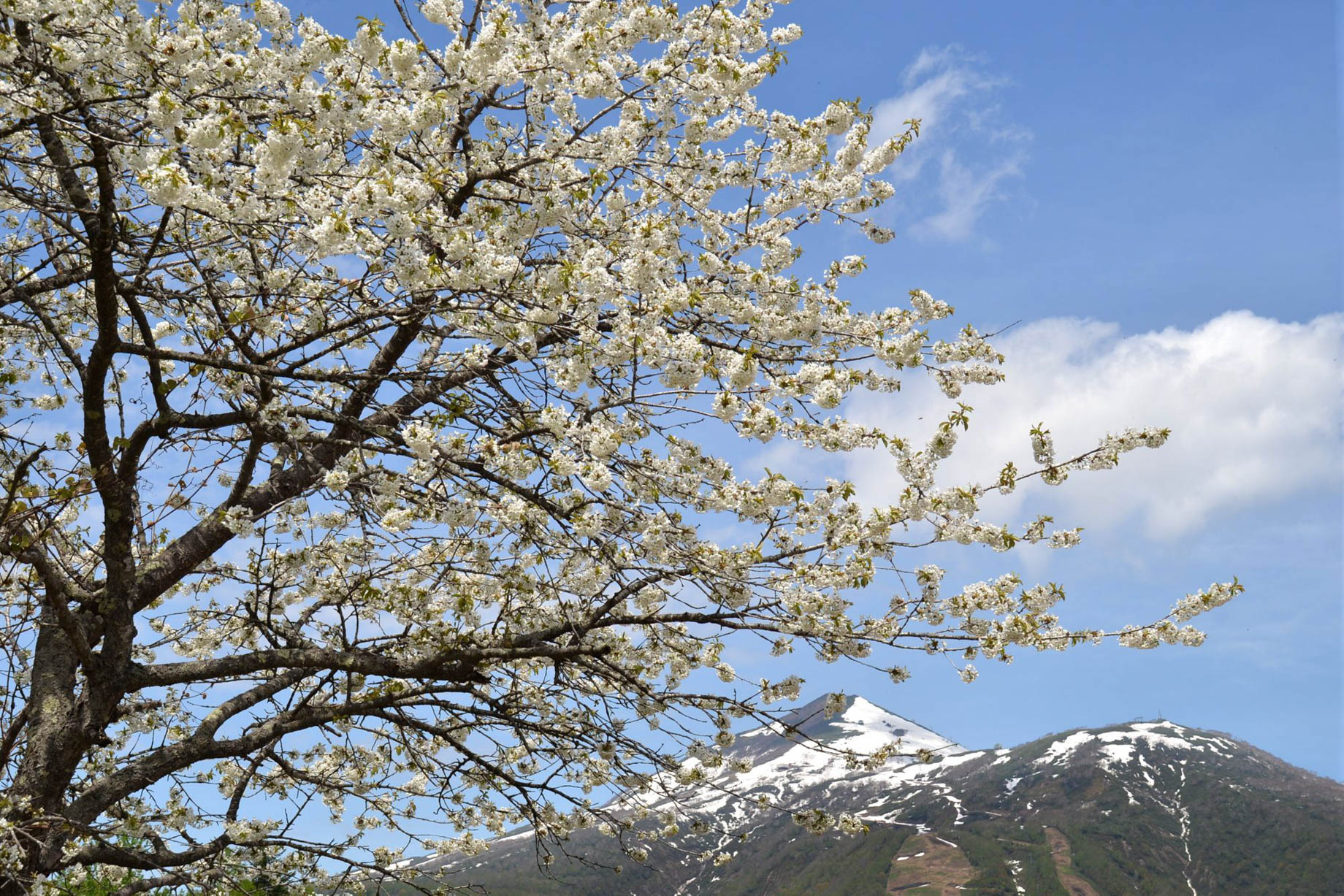 Higashiyama Niseko Village, A Ritz-Carlton Reserve Hotel – Hokkaido, Japan – Spring Mountain View