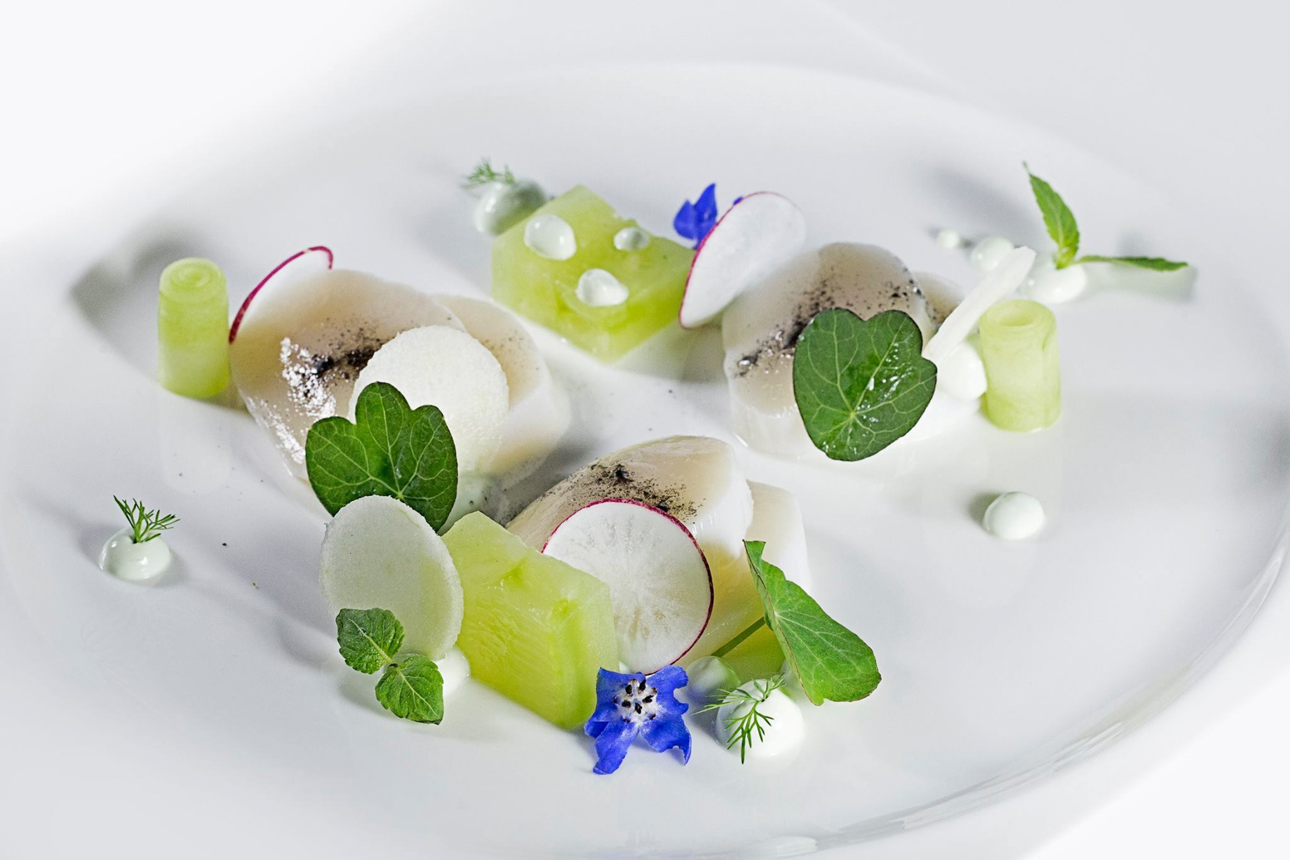 Hotel Arts Barcelona Ritz-Carlton – Barcelona, Spain – Gourmet Cuisine