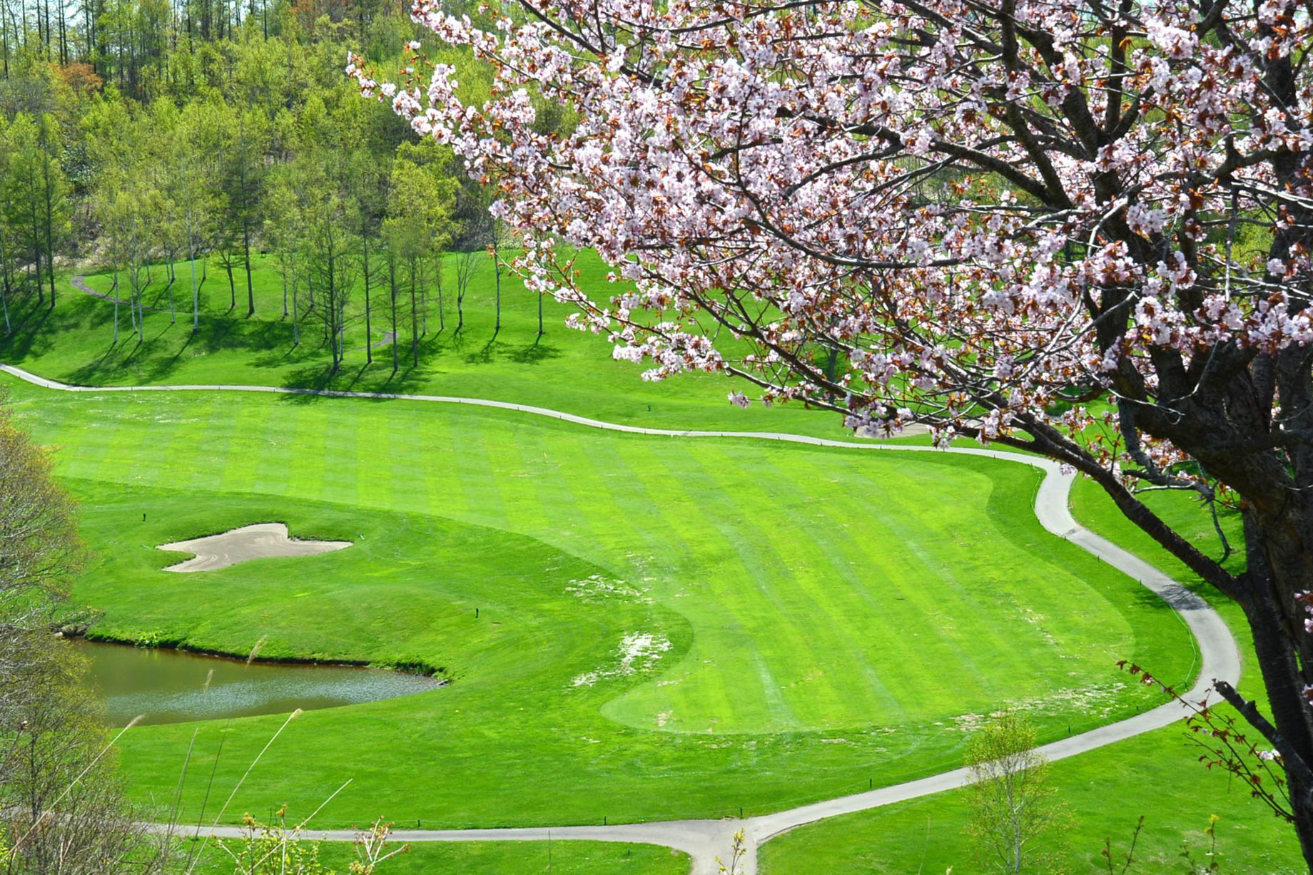 Higashiyama Niseko Village, A Ritz-Carlton Reserve Hotel – Hokkaido, Japan – Golf Resort Aerial