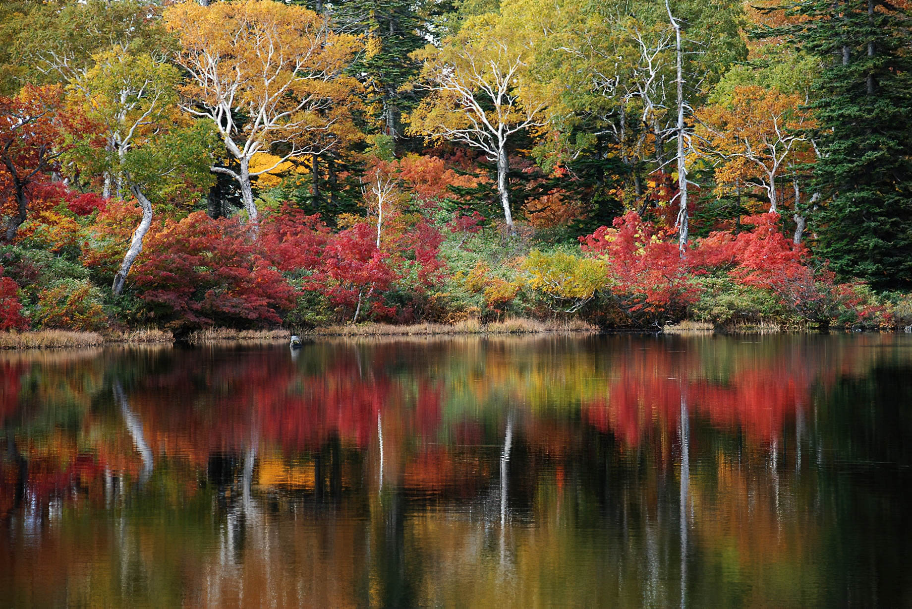 Higashiyama Niseko Village, A Ritz-Carlton Reserve Hotel - Hokkaido, Japan - Autum Water View