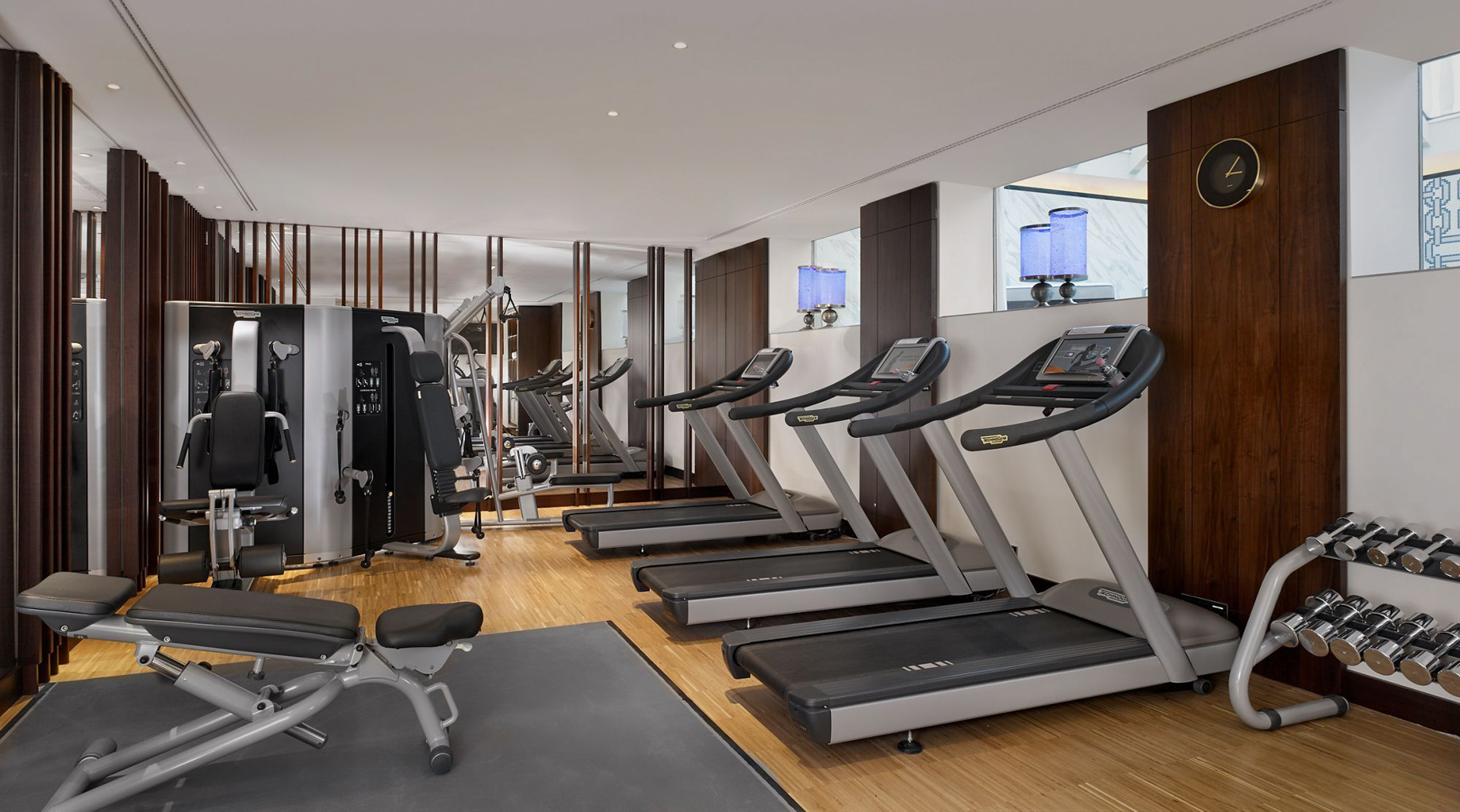 The Ritz-Carlton, Budapest Hotel - Budapest, Hungary - Fitness Room
