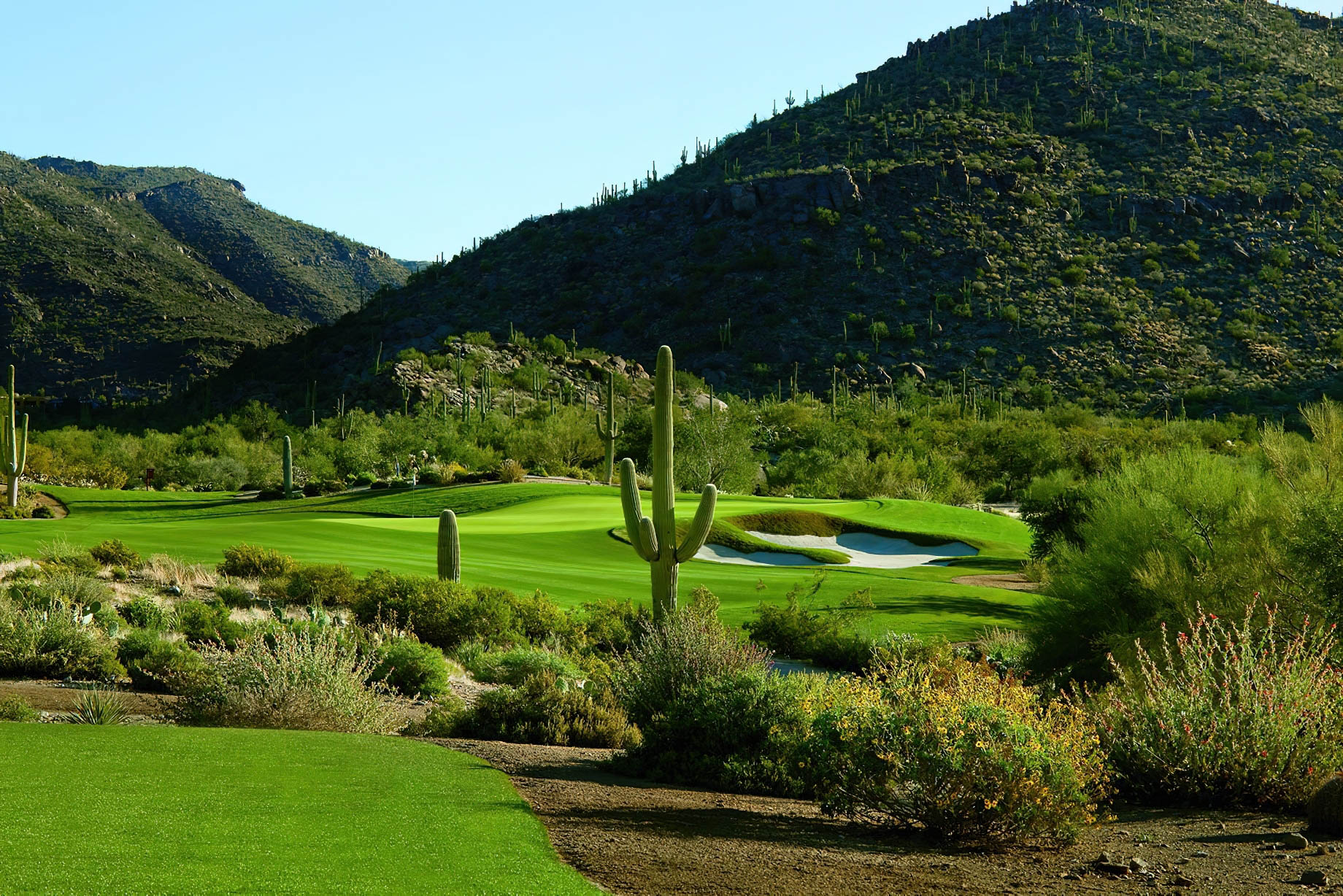 The Ritz-Carlton, Dove Mountain Resort - Marana, AZ, USA - Golf Course
