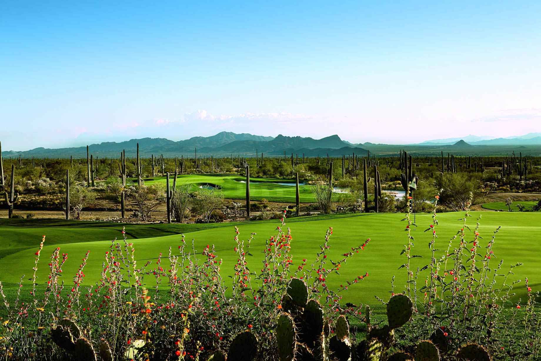 The Ritz-Carlton, Dove Mountain Resort - Marana, AZ, USA - Golf Course
