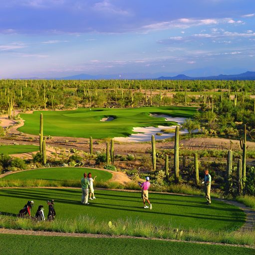 The Ritz-Carlton, Dove Mountain Resort - Marana, AZ, USA - Golf Course