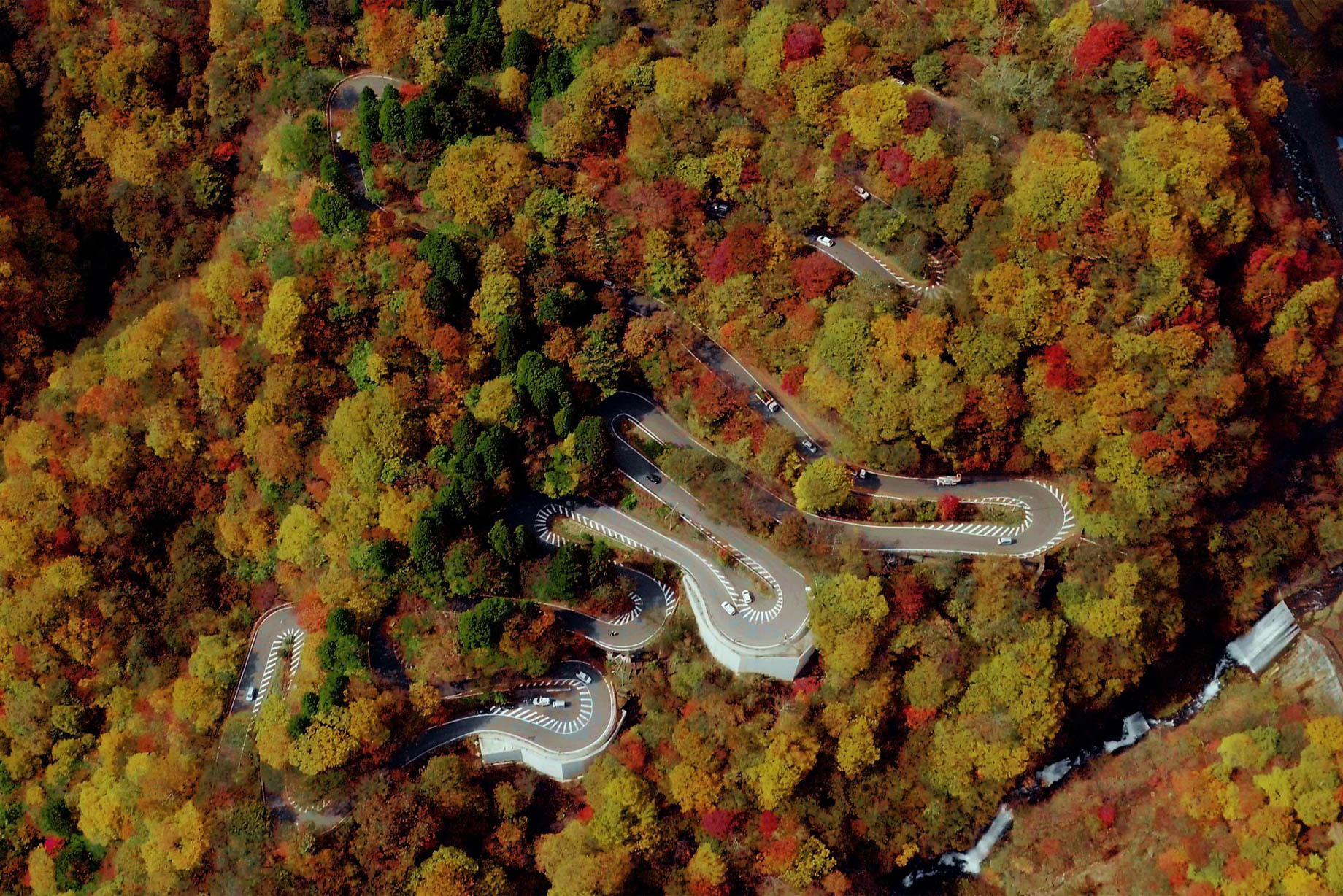 The Ritz-Carlton, Nikko Hotel - Nikko Tochigi, Japan - Slopes Road Aerial View