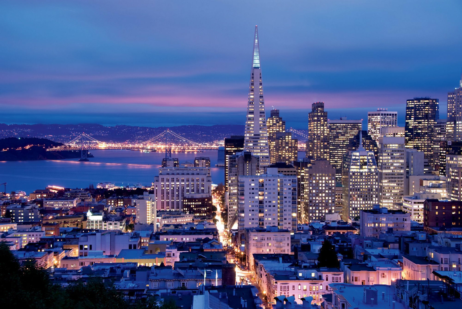 The Ritz-Carlton, San Francisco Hotel - San Francisco, CA, USA - City Skyline Night View