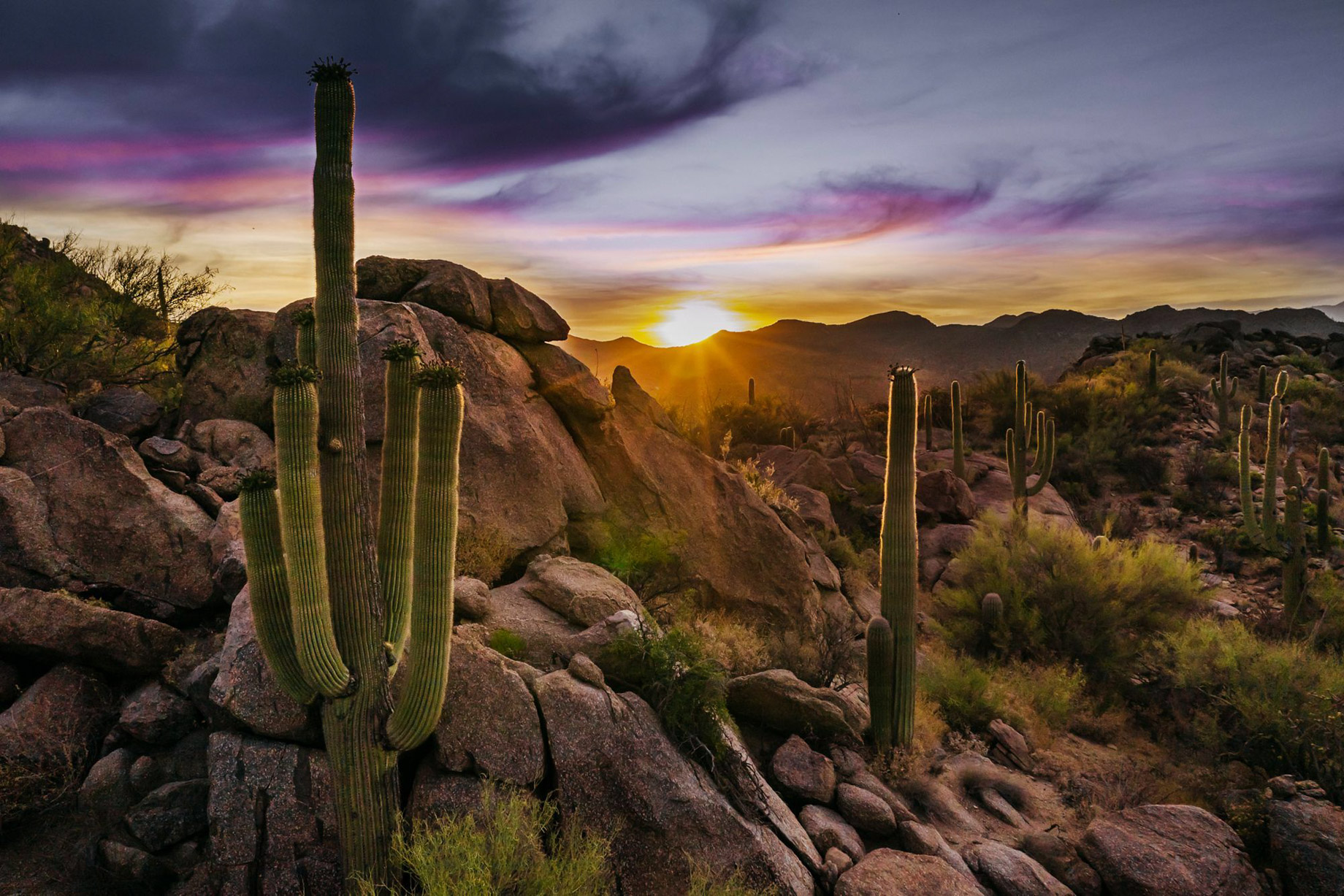 The Ritz-Carlton, Dove Mountain Resort - Marana, AZ, USA - Mountain View Sunset