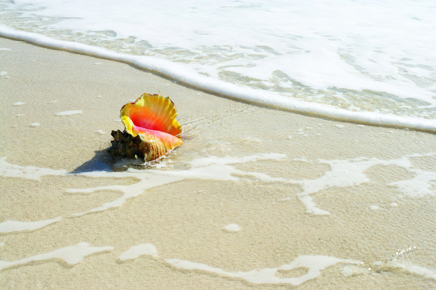 The Ritz-Carlton, Cancun Resort - Cancun, Mexico - Beach Shell