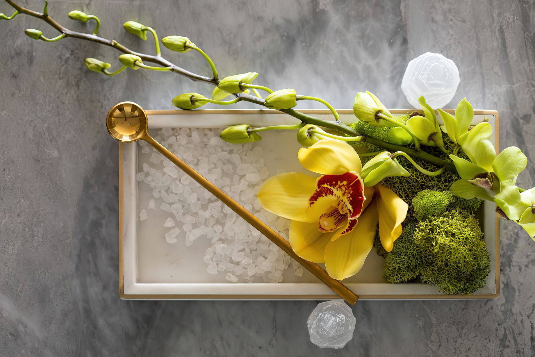 The Ritz-Carlton, Cancun Resort – Cancun, Mexico – Spa Details