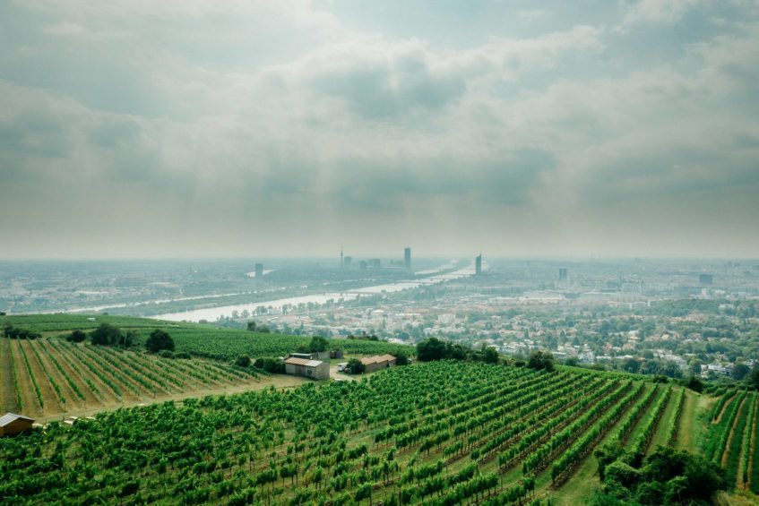 The Ritz-Carlton, Vienna Hotel - Vienna, Austria - Viennese Vineyards Aerial View