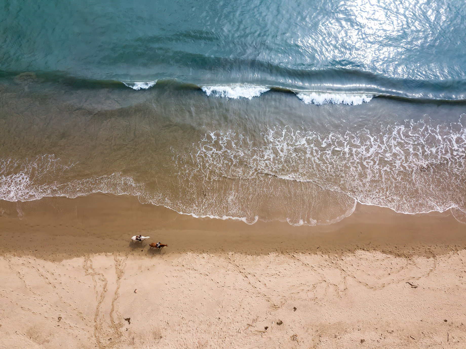 The Ritz-Carlton Bacara, Santa Barbara Resort - Santa Barbara, CA, USA - Beach Horses Aerial
