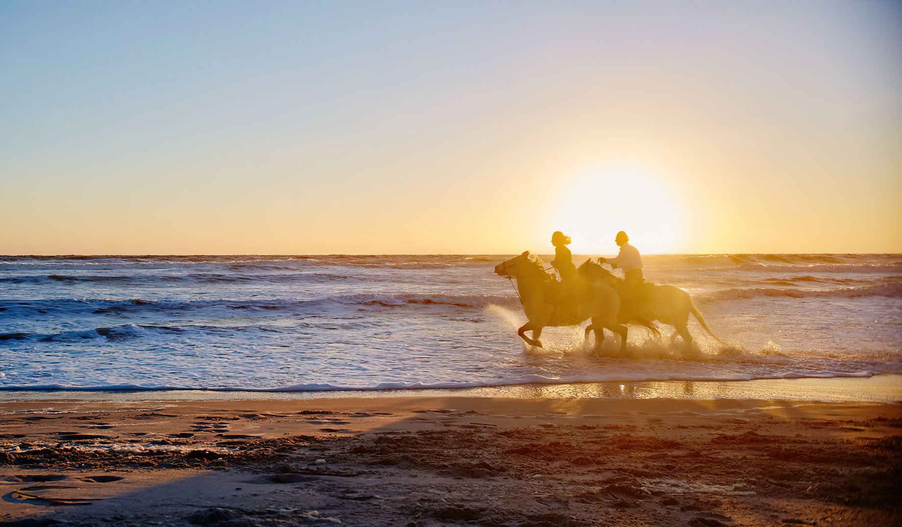 The Ritz-Carlton Bacara, Santa Barbara Resort - Santa Barbara, CA, USA - Beach Horses