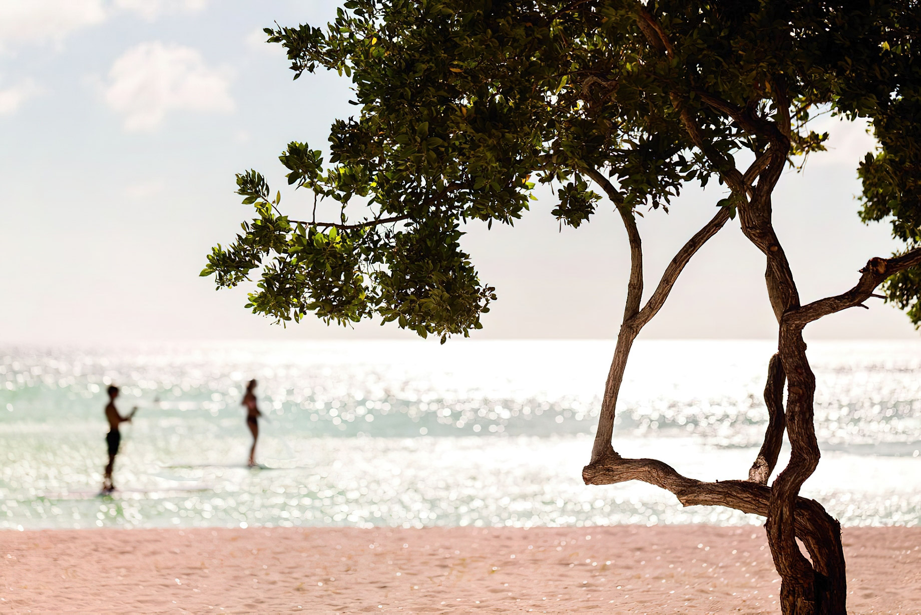 The Ritz-Carlton, Aruba Resort – Palm Beach, Aruba – Ocean Paddle Boarding