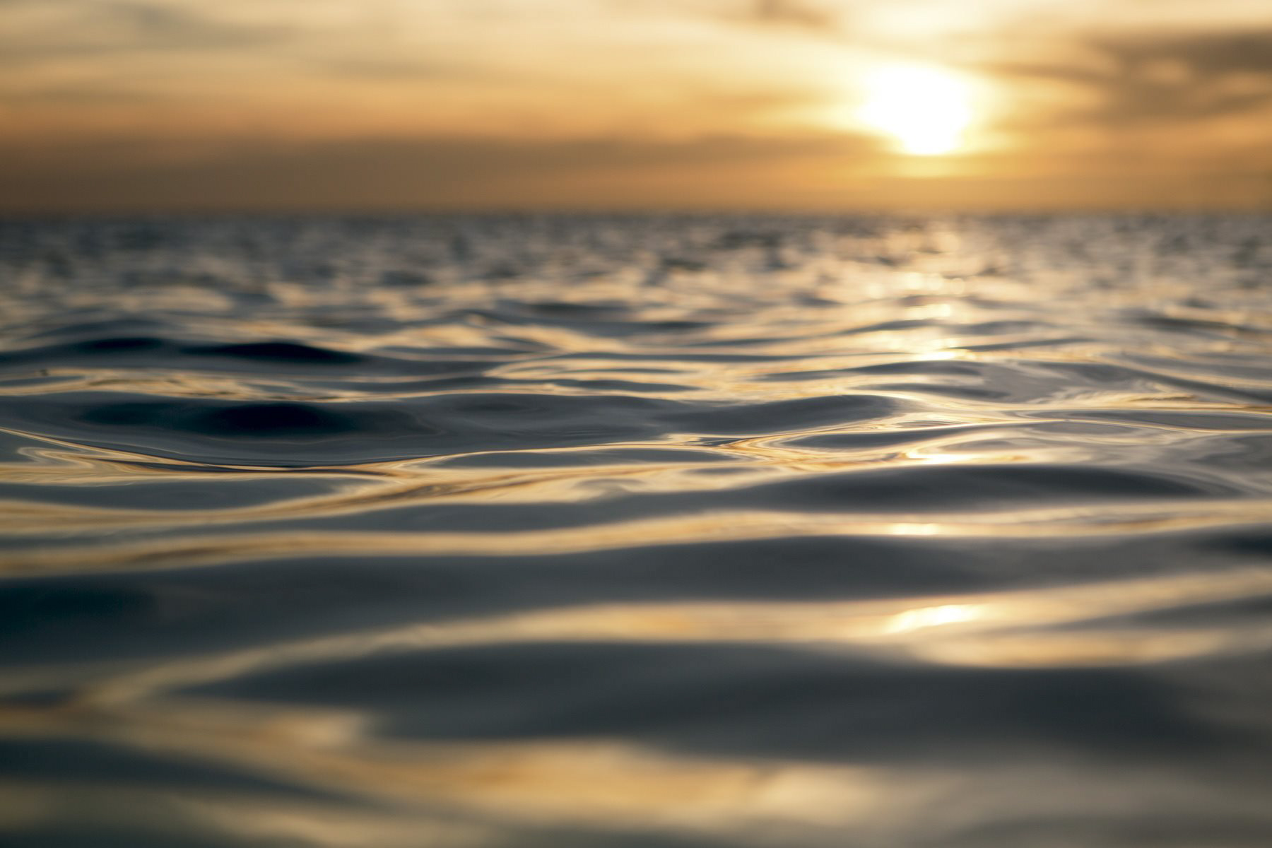 The Ritz-Carlton, Aruba Resort - Palm Beach, Aruba - Ocean Waves Sunset