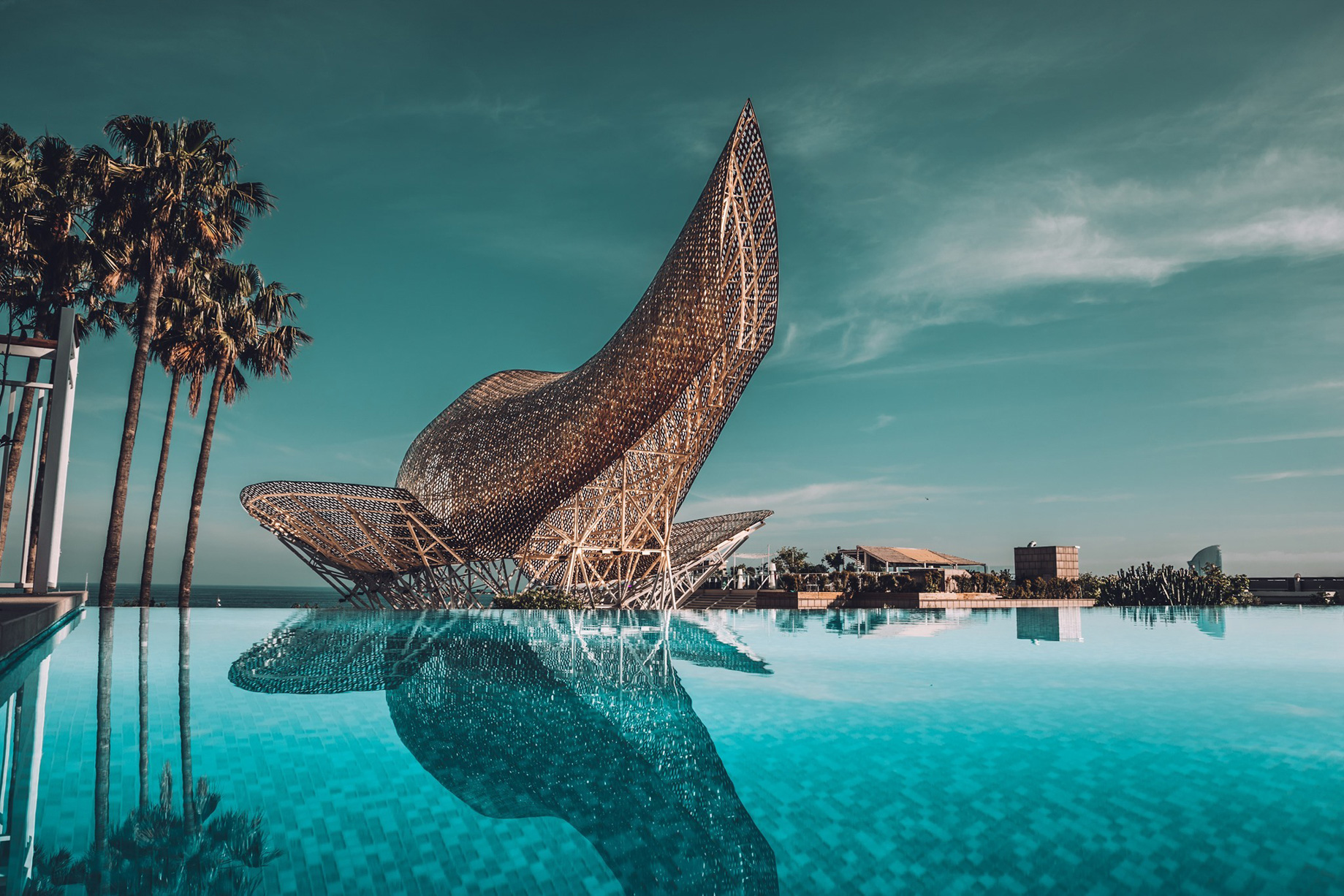 Hotel Arts Barcelona Ritz-Carlton - Barcelona, Spain - Infinity Pool Dusk