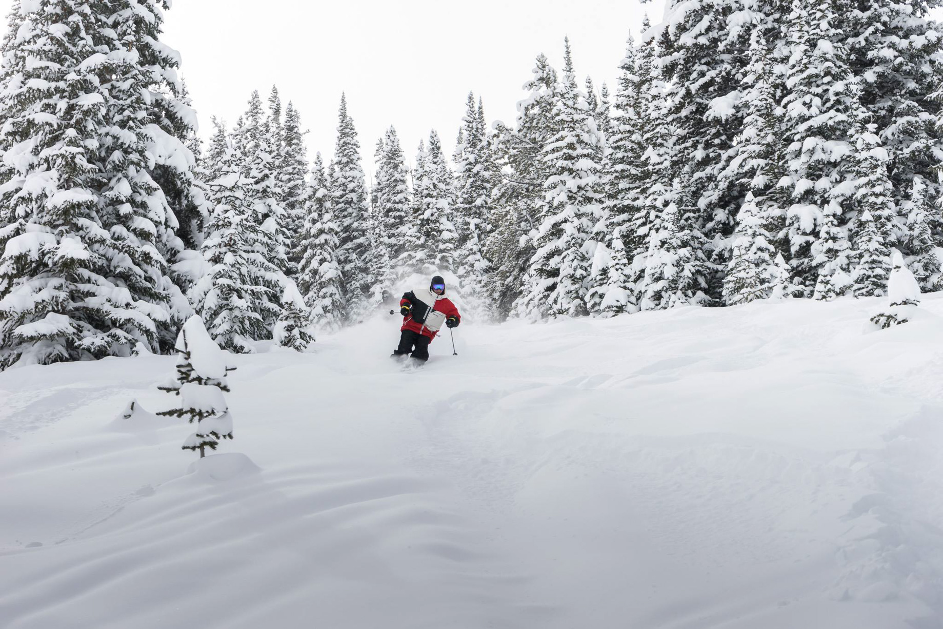 The Ritz-Carlton, Bachelor Gulch Resort - Avon, CO, USA - Skiing