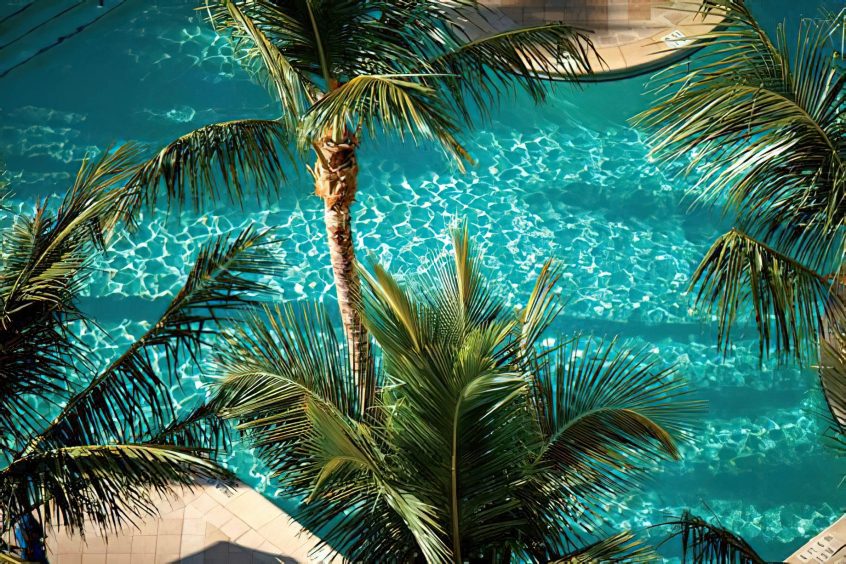 The Ritz-Carlton, Naples Resort - Naples, FL, USA - Pool Palm Trees