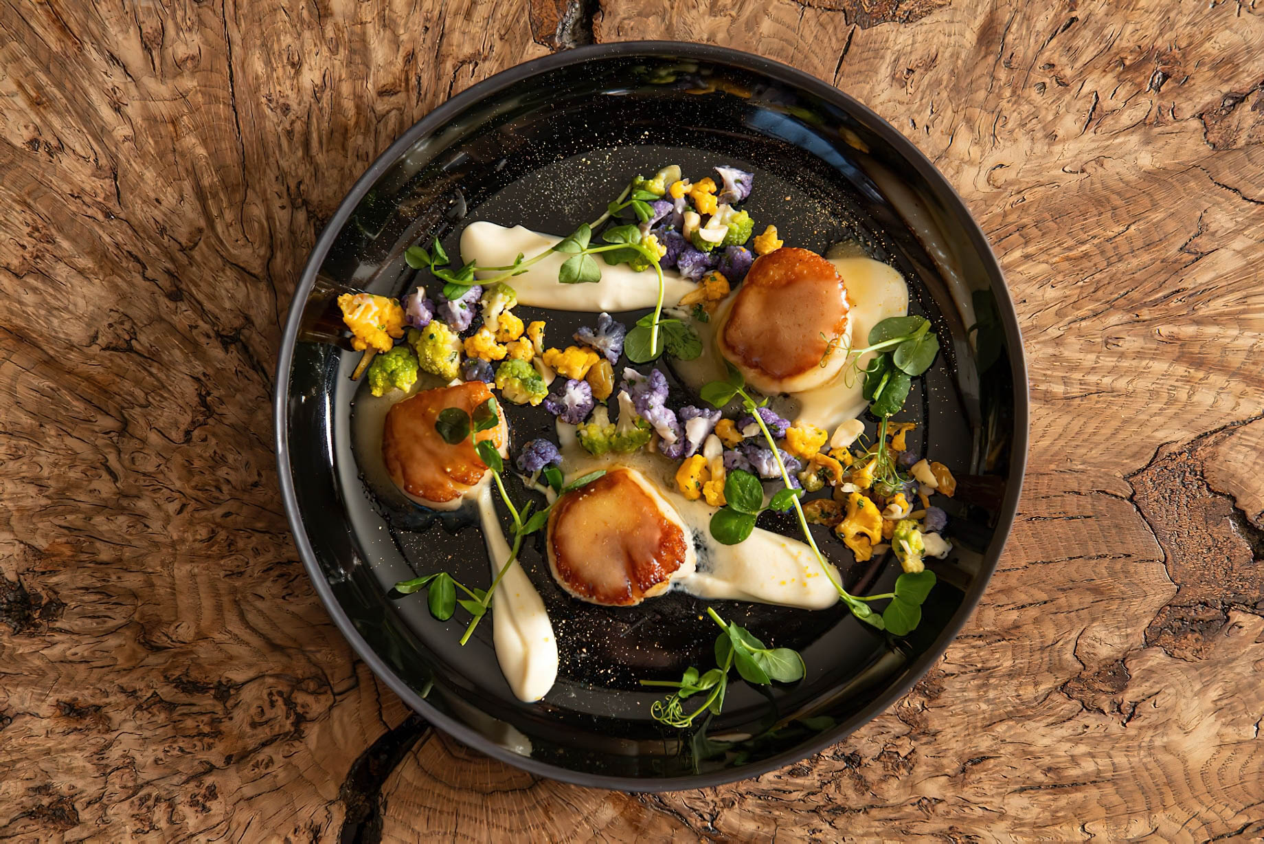 The Ritz-Carlton, Bachelor Gulch Resort - Avon, CO, USA - WYLD Restaurant Gourmet Food