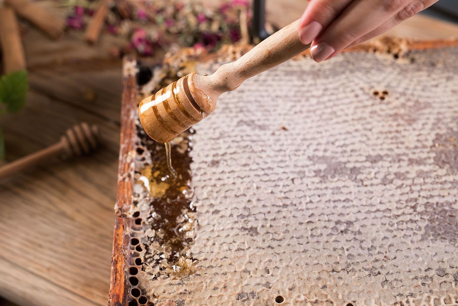 The Ritz-Carlton, Sarasota Hotel - Sarasota, FL, USA - Spa