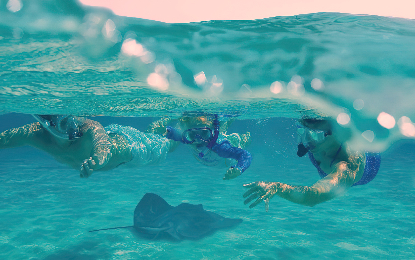 The Ritz-Carlton, Fort Lauderdale Hotel - Fort Lauderdale, FL, USA - Snorkeling