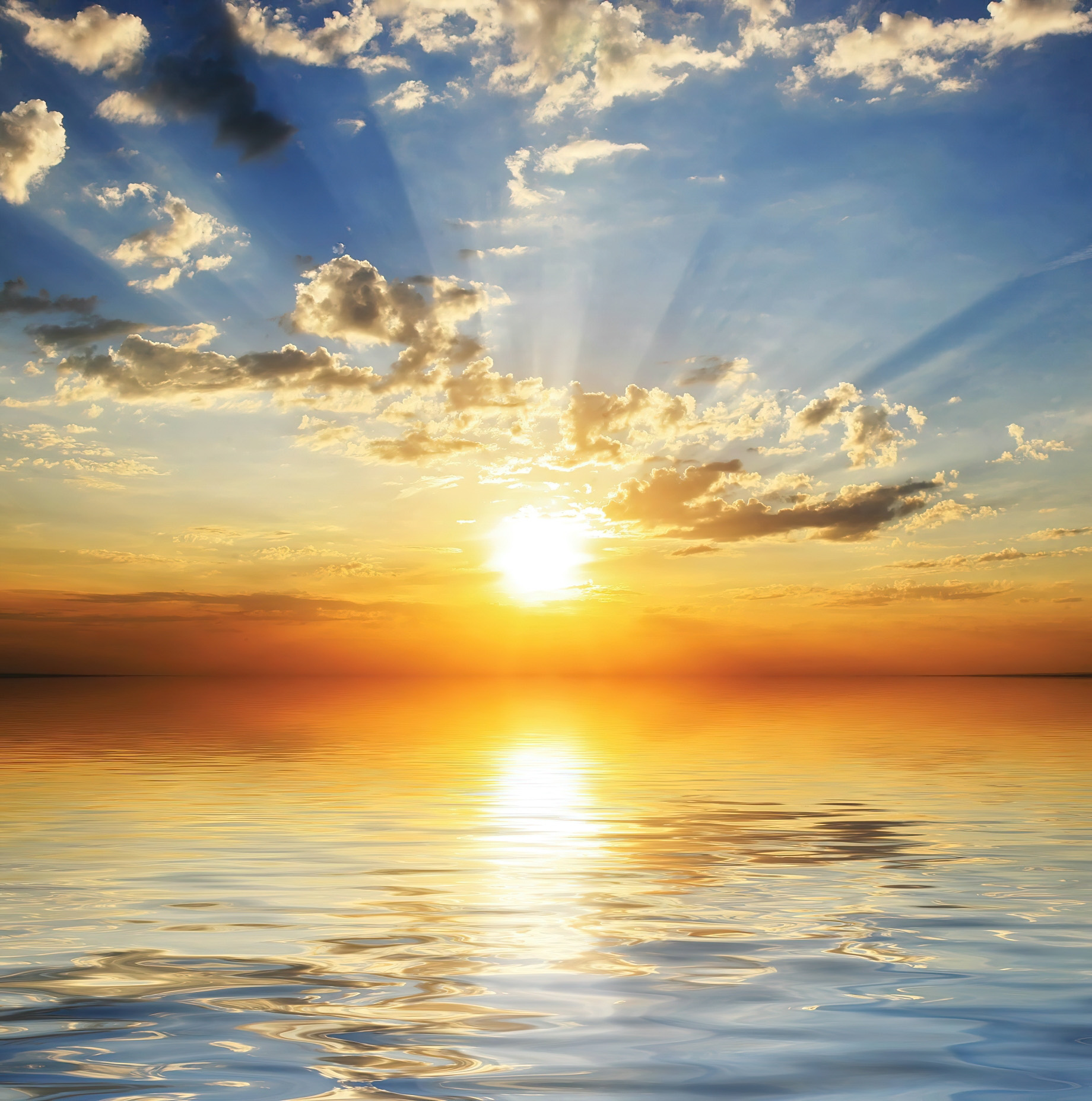 The Ritz-Carlton Key Biscayne, Miami Hotel - Miami, FL, USA - Ocean View Sunset