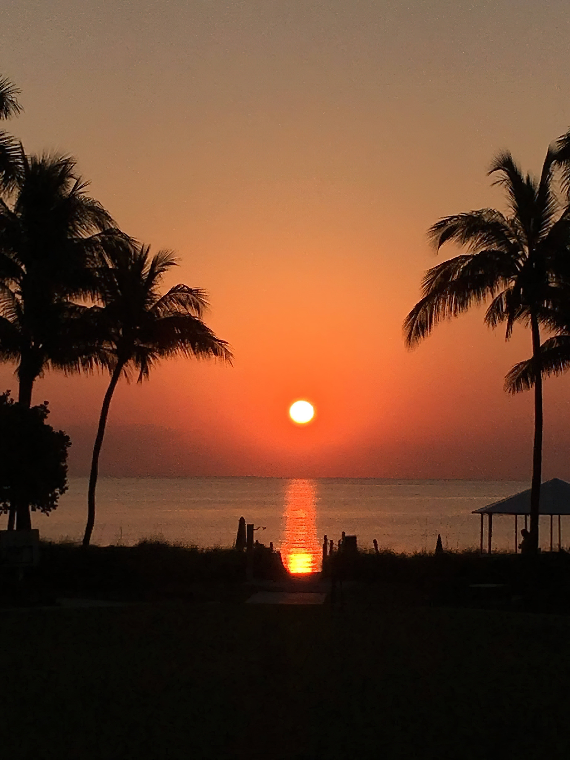 The Ritz-Carlton Key Biscayne, Miami Hotel - Miami, FL, USA - Ocean View Sunset