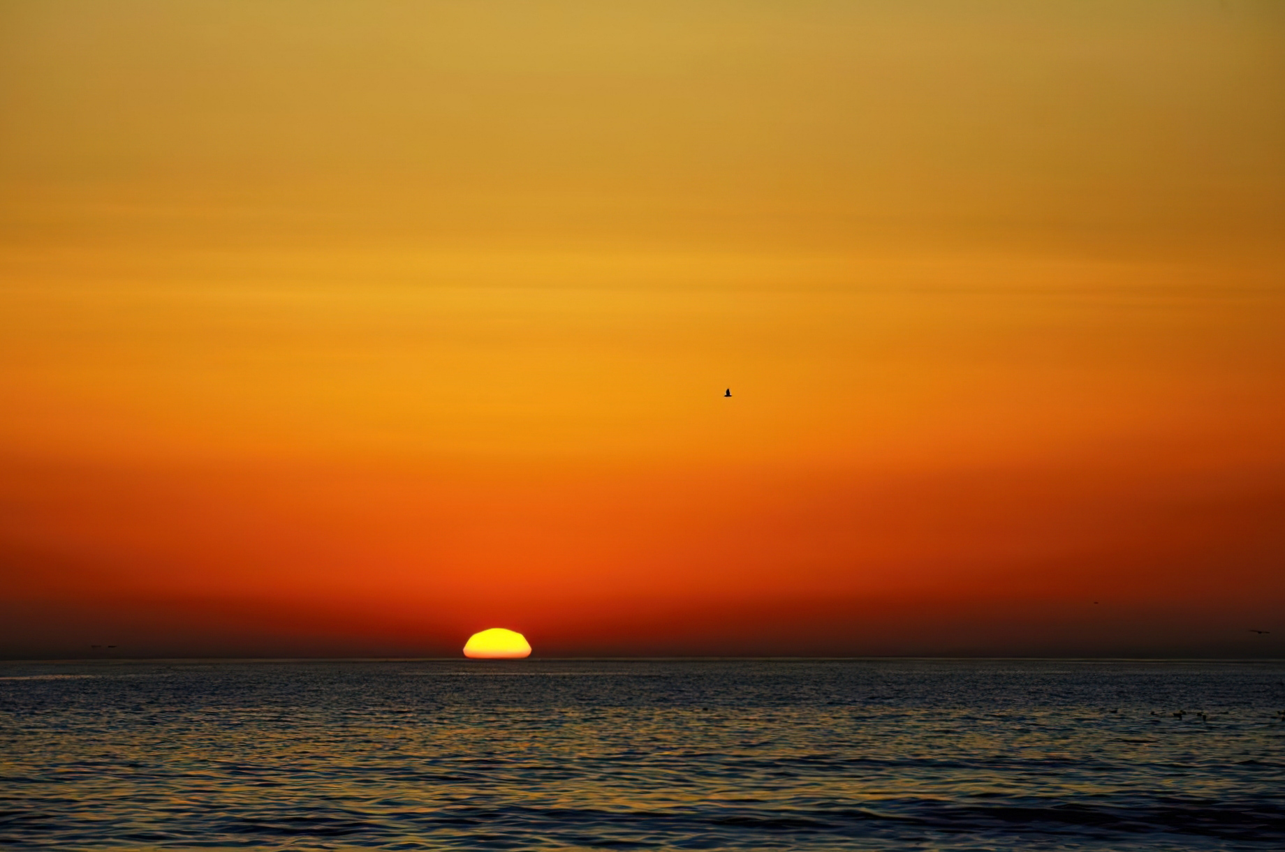 The Ritz-Carlton Key Biscayne, Miami Hotel - Miami, FL, USA - Ocean View Sunset