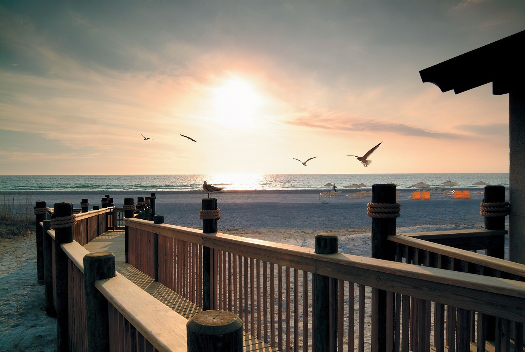 The Ritz-Carlton Beach Club Resort - Lido Key, Sarasota, FL, USA - Beach Path Sunset