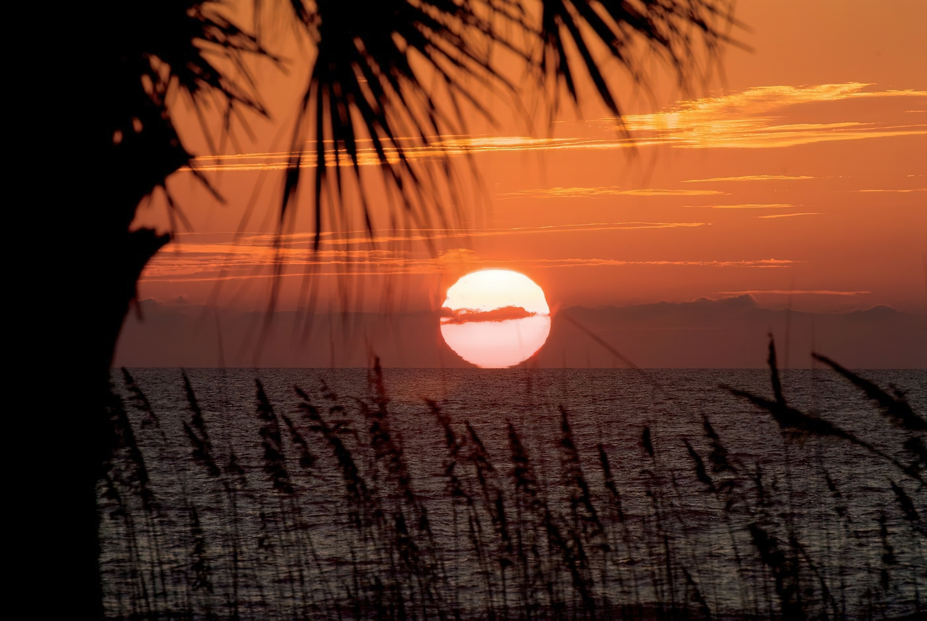 The Ritz-Carlton Beach Club Resort - Lido Key, Sarasota, FL, USA - Ocean Sunset View