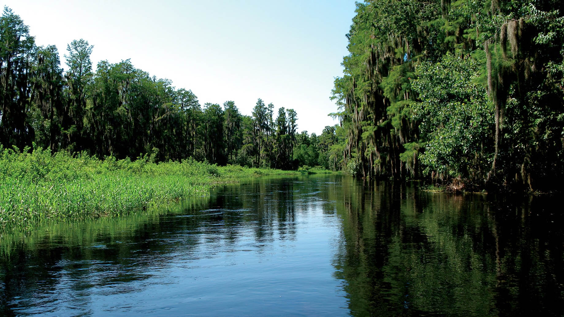 The Ritz-Carlton Orlando, Grande Lakes Resort - Orlando, FL, USA - Florida Everglades