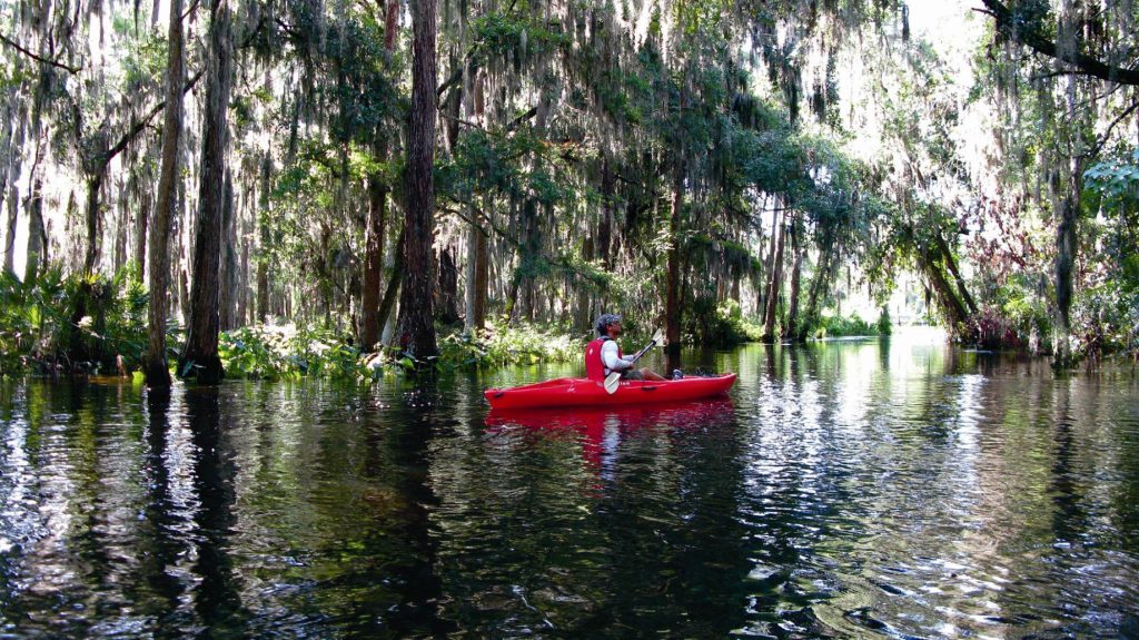The Ritz-Carlton Orlando, Grande Lakes Resort - Orlando, FL, USA - Florida Everglades Kayaking