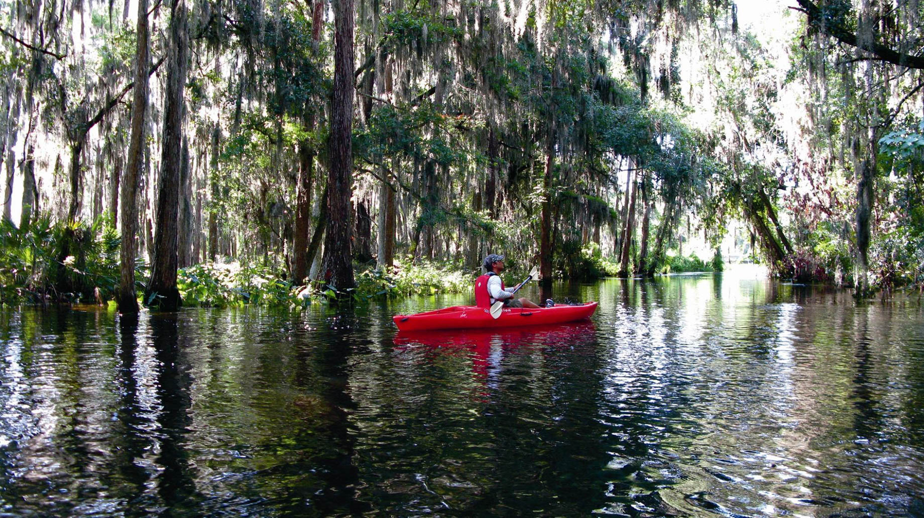 The Ritz-Carlton Orlando, Grande Lakes Resort – Orlando, FL, USA – Florida Everglades Kayaking