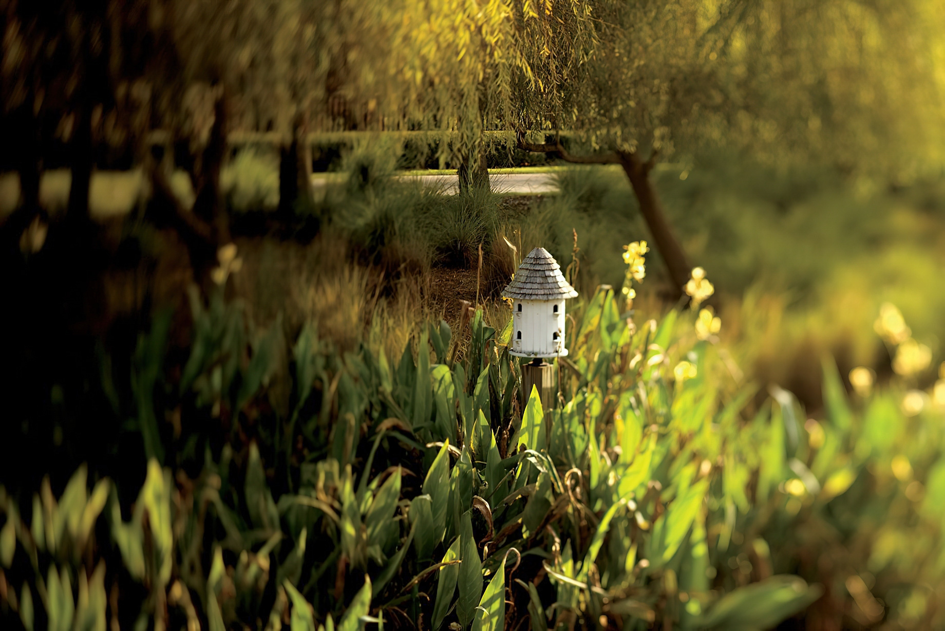 The Ritz-Carlton Orlando, Grande Lakes Resort - Orlando, FL, USA - Natural Setting