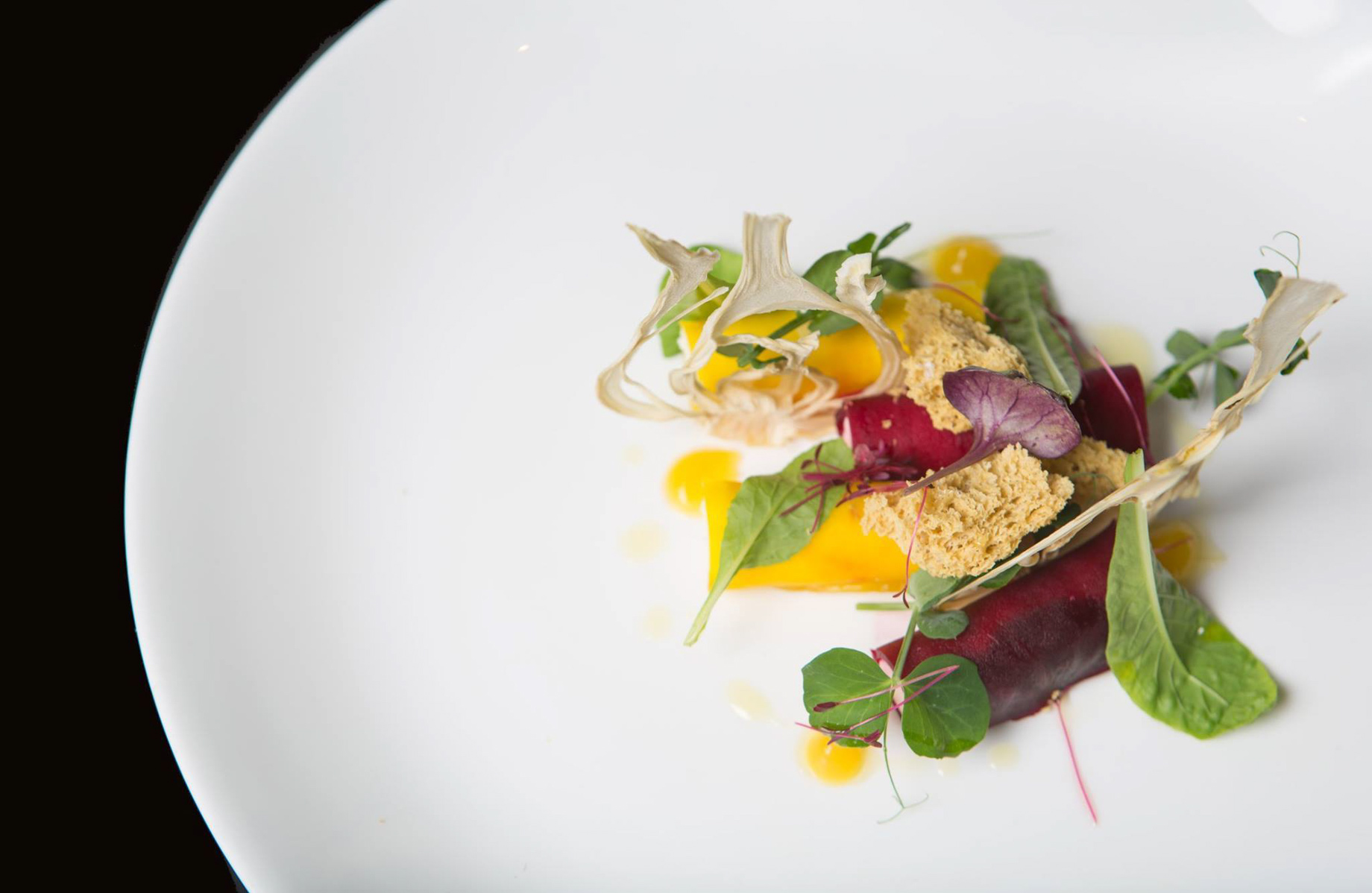 The Ritz-Carlton, Charlotte Hotel - Charlotte, NC, USA - Gourmet Food