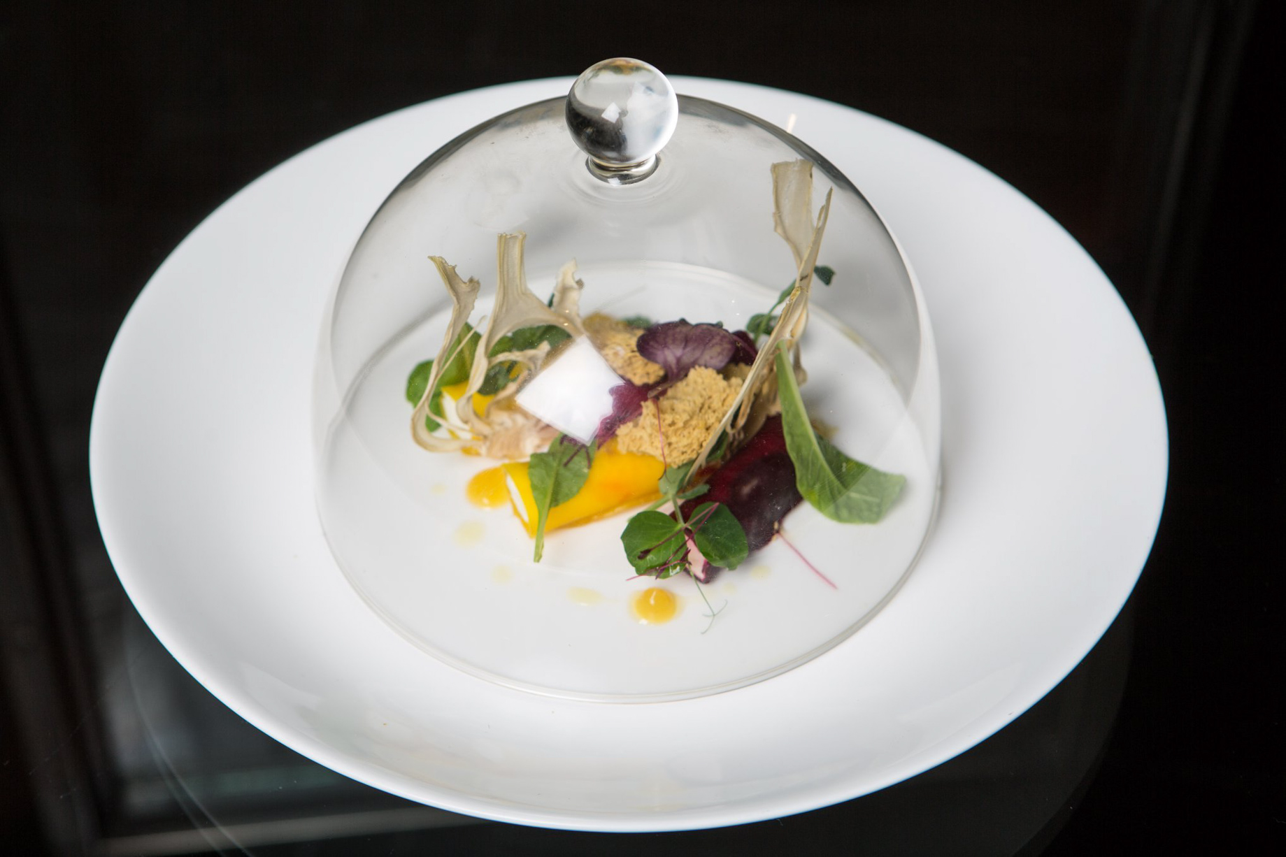 The Ritz-Carlton, Charlotte Hotel – Charlotte, NC, USA – Gourmet Food