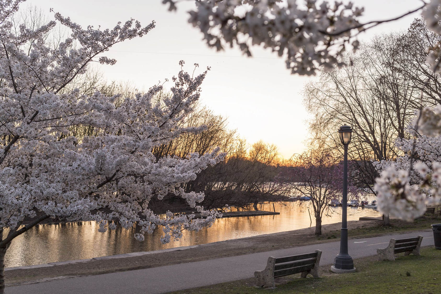 The Ritz-Carlton, Philadelphia Hotel - Philadelphia, PA, USA - Park