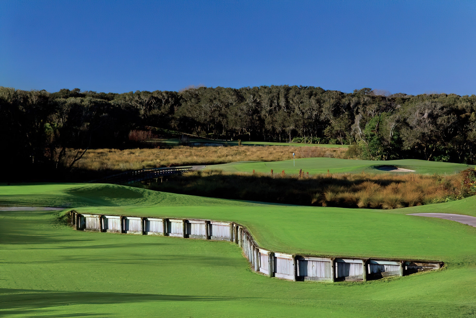 The Ritz-Carlton, Amelia Island Resort - Fernandina Beach, FL, USA - Golf Course