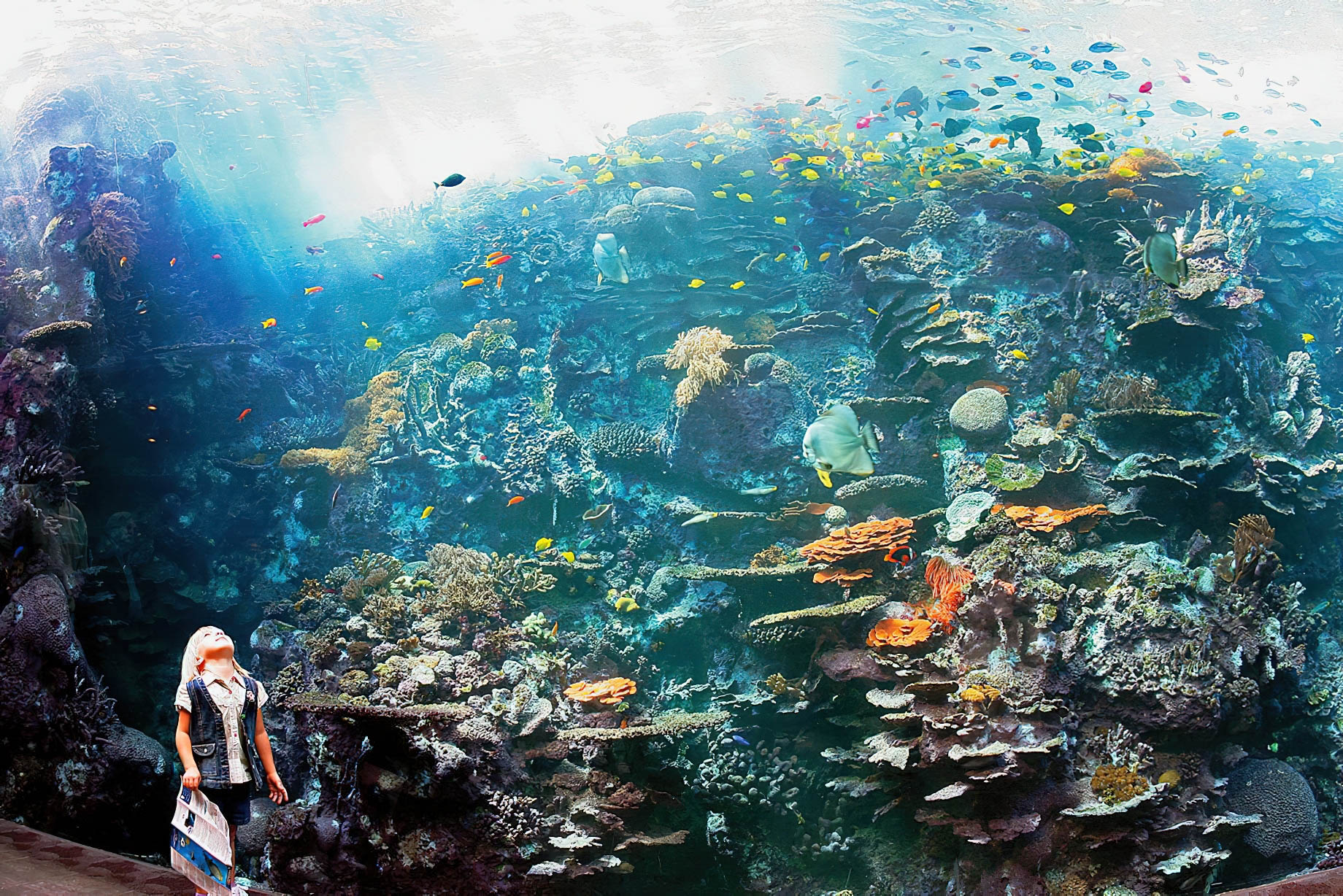 The Ritz-Carlton, Atlanta Hotel – Atlanta, GA, USA – Georgia Aquarium