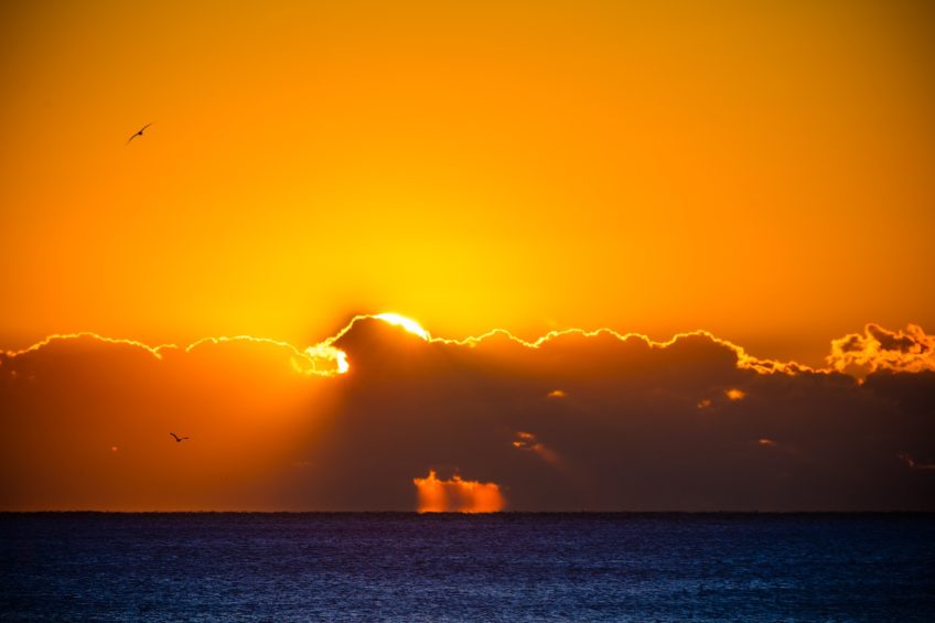 The Ritz-Carlton, Amelia Island Resort - Fernandina Beach, FL, USA - Ocean View Sunset