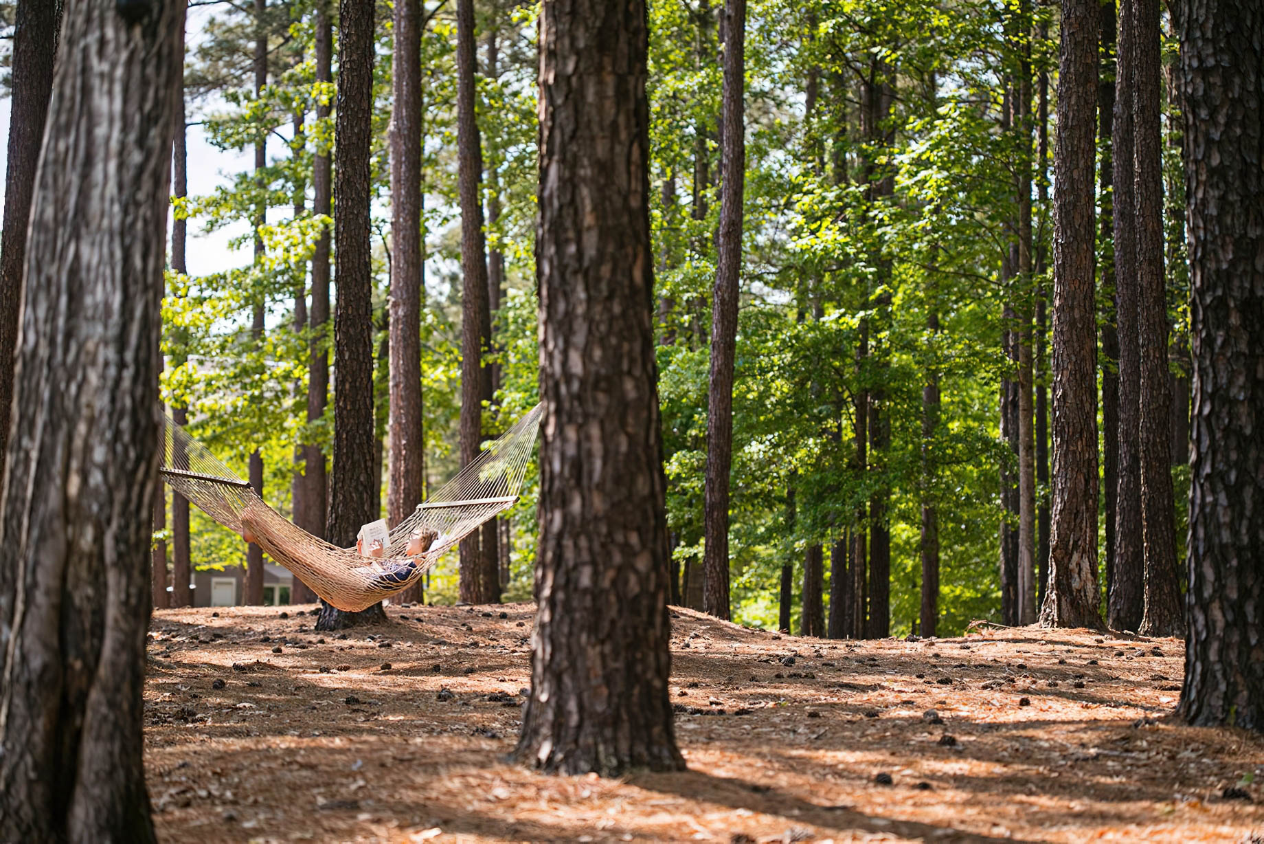 127 – The Ritz-Carlton Reynolds, Lake Oconee Resort – Greensboro, GA, USA – Forest Hammock