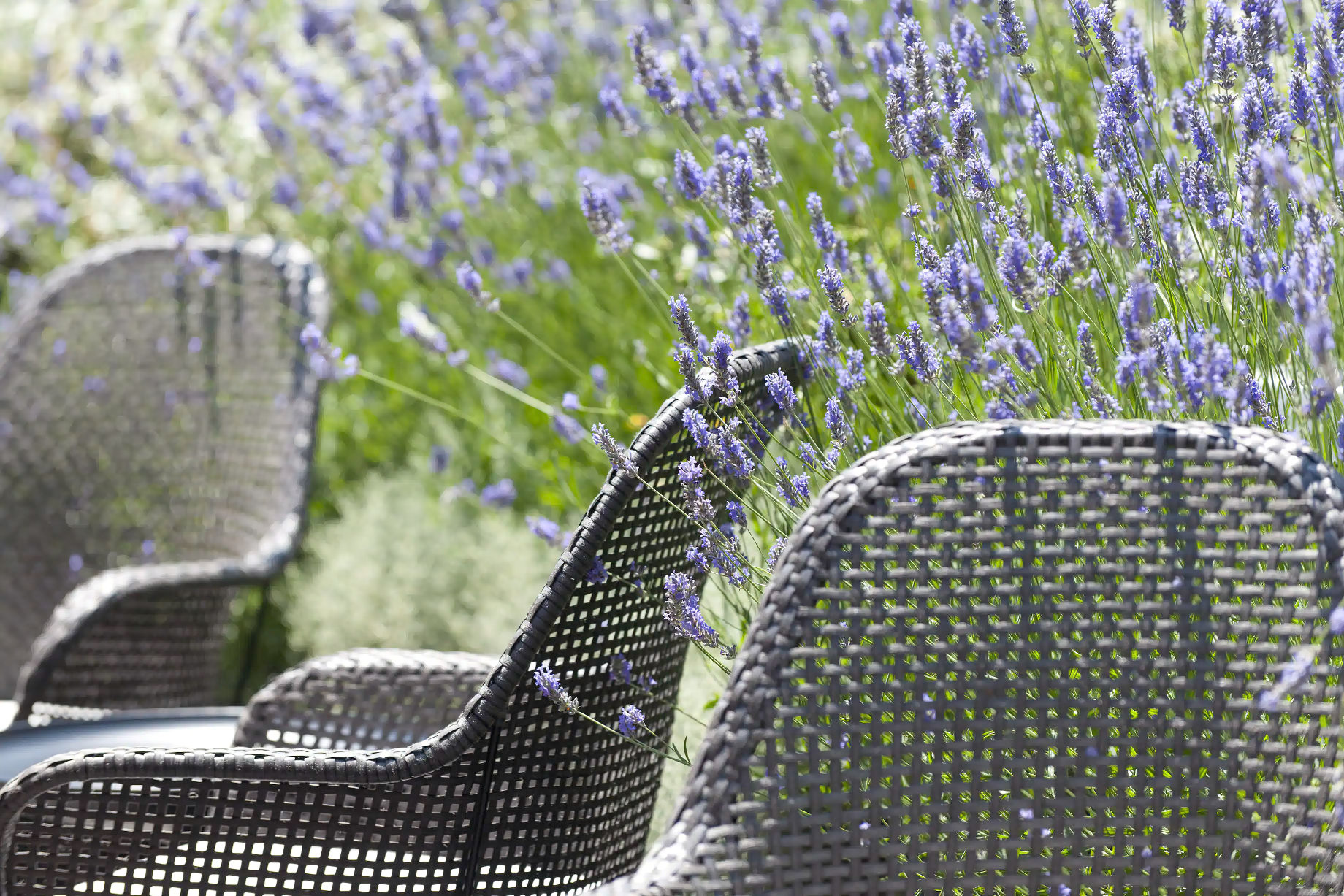 Mandarin Oriental, Barcelona Hotel - Barcelona, Spain - Mimosa Garden Seating 6